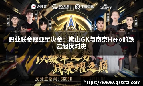 职业联赛冠亚军决赛：佛山GK与南京Hero的跌宕起伏对决
