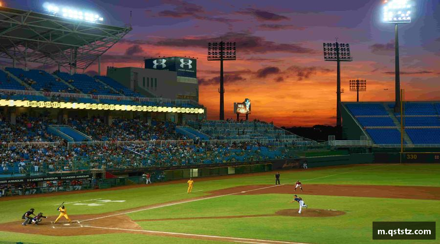 3377平台奋力前行，勇往直前